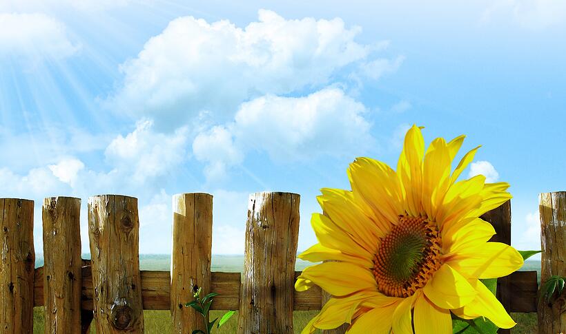 重庆企业宣传片制作完满的姿势增大企业的曝光量