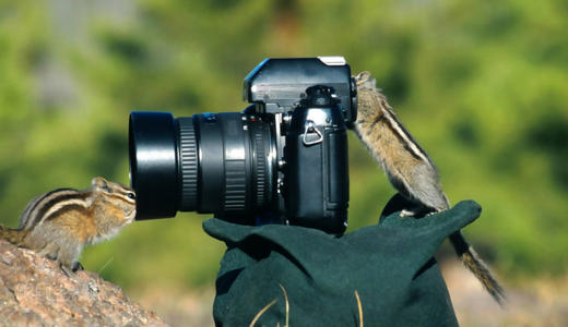 重庆企业宣传片策划方案与拍摄方案一样吗