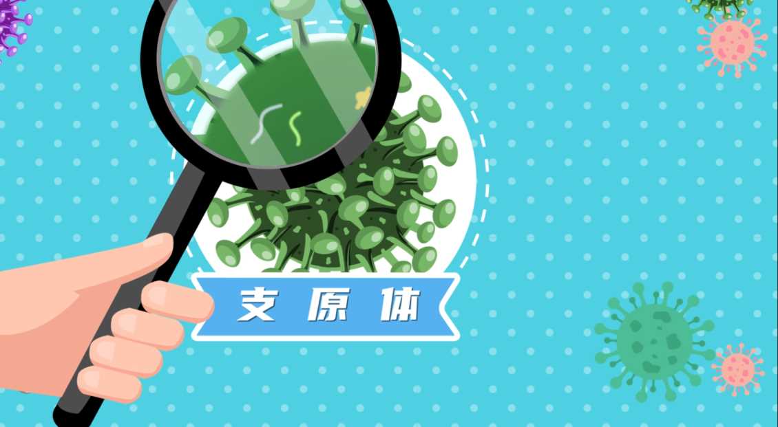 科普MG动画制作：如何将复杂的科学知识转化为公众喜爱的短视频？